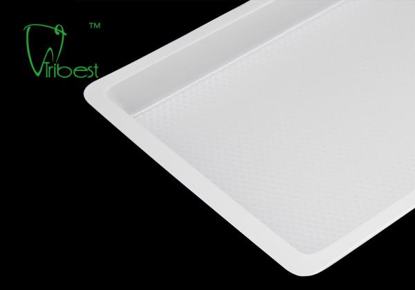 Small 19x14.8cm PP Plastic Dental Instrument Trays