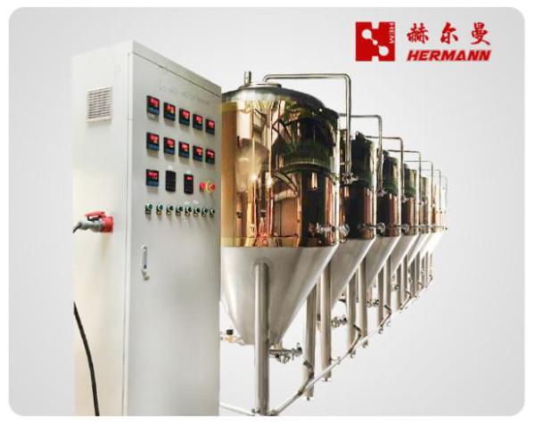 SUS 304 Micro Brewery Equipment 7 BBL For Small Scale Breweries CE Standard
