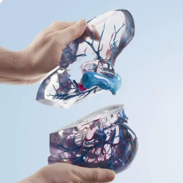 RESIN Material Full Color 3D Printing | PolyJet for Medical Prototype STL Files