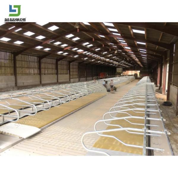 Cheap Agricultural Steel Structure Prefabricated Poultry Chicken Broiler Layer Cage Ground House Pig Farm Cow Barn Full Equipment One-stop Service