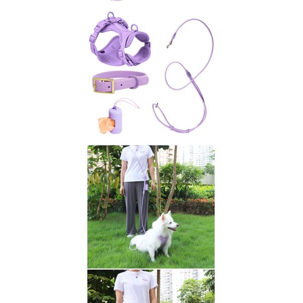 Macaron PVC Slip Lead Dog Leash Hands Free Slip Lead Collar Waterproof