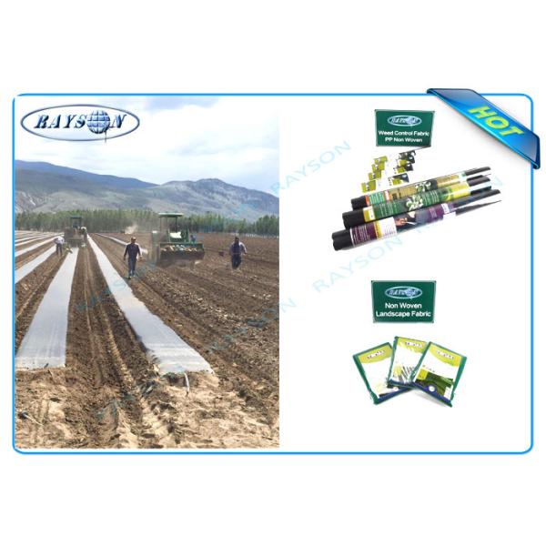 Крышка Pp Spunbond ватки предохранения от Frost сада не сплетенная подгоняла