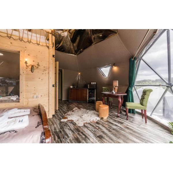 2 Man PVC Coated Geodesic Dome Glamping Tent UV Resistance