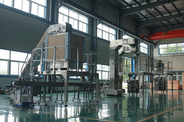 Линейная Vibratory высота выхода ODM доступная 540mm вспомогательного оборудования