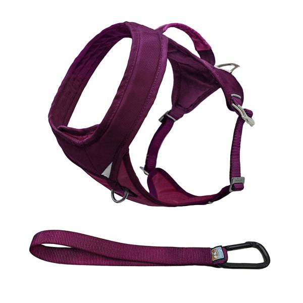 Padded Nylon Dog Harness , Strong Dog Training Harness No Pull Adjustable Size