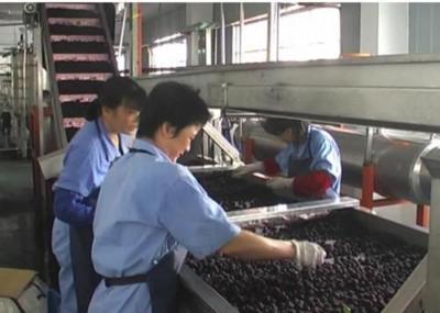 Automatic Small Scale Canning Equipment Canned Blueberry Production Line