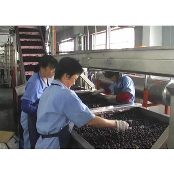 Blueberry Fruit Canning Machine , Fruit Processing Industrial Canning Machine