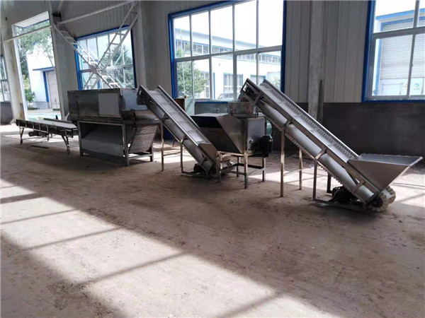 garlic peeling line, big capacity garlic peeling machine, garlic peeler