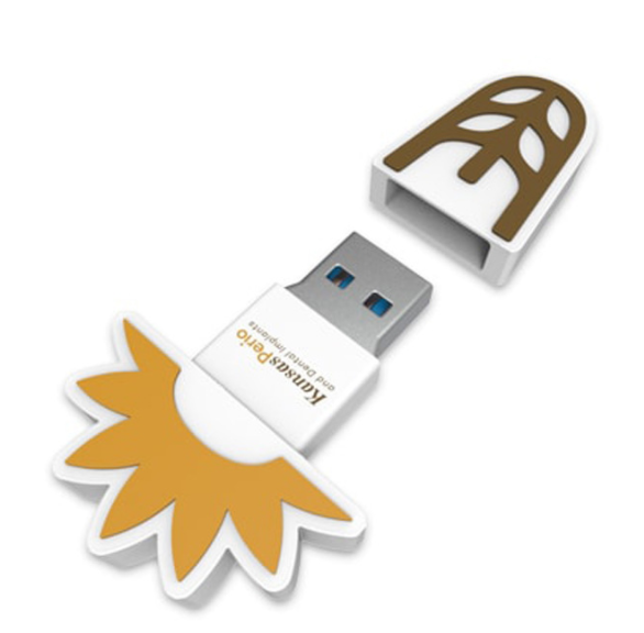 Custom Shape Rubber PVC 4G USB Flash Drives For Promotion Gifts