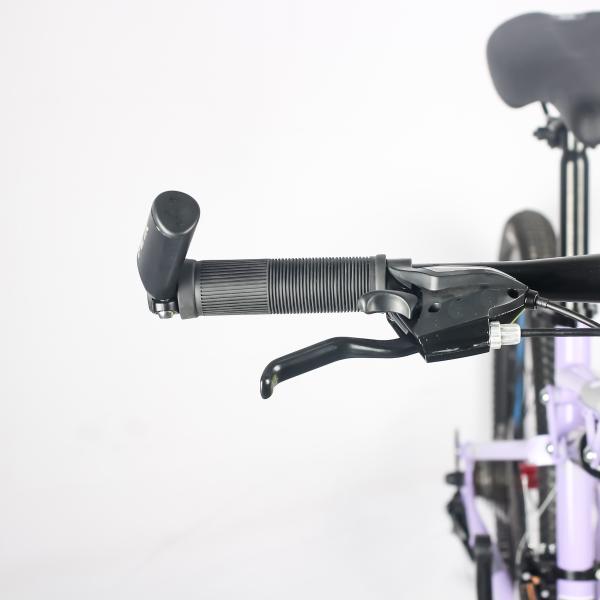 Оптовая 21-скоростная индивидуальная дешевая взрослая горная велосипед 24/27.5 дюйма велосипед