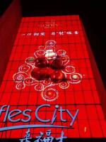 Affichage transparent de l'écran P3.91 de Front Lighting Led See Through pour l'exposition visuelle