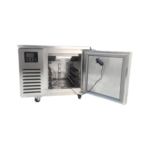 Hot Selling Commercial Food Milkshake Ice Cream Fast Freezer Household Fast Freezer