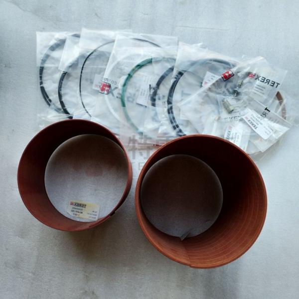 TEREX 9396484 overhaul kit for terex tr100 truck parts