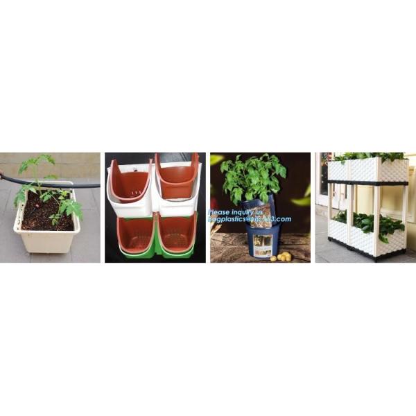 Succulents питомника баков плантатора зеленой клубники мешков сада Hydroponic вертикальные обрабатывая землю