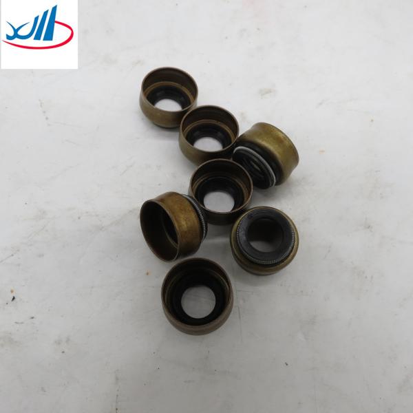 Iron Material Engine Valve Oil Seal 4003966