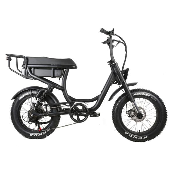 48V 13Ah Electric Dirt Bike Adult 750W 1000W High Speed Bicycle with 20inch Fat Tire