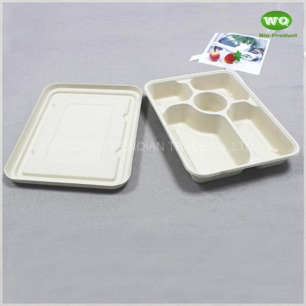 5-Coms Biodegradable Rectangle Tray With Lid-Convenient Easy green Bagasse Sugarcane Fiber Takeaway Packaging Contaienrs