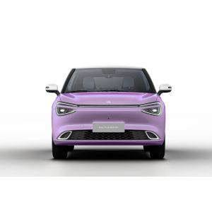 Dongfeng EV Coût Chine Marque Nano Box Nouvelle énergie voiture SUV voitures Nami 01