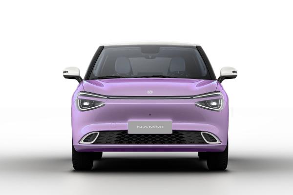 2024 New Arrival Small Electric Vehicle EV Dongfeng box Nammi 01 330km RHD Nano 01 with Warranty Right Hand Drive Car