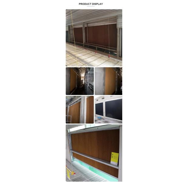 Пусковая площадка испарительной птицы 7090 фермы целлюлозы охлаждая