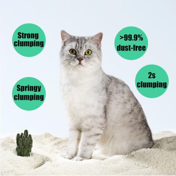 Litière pour chat à la cassave, contrôle des odeurs, élastique, durable, litière pour chat au tapioca