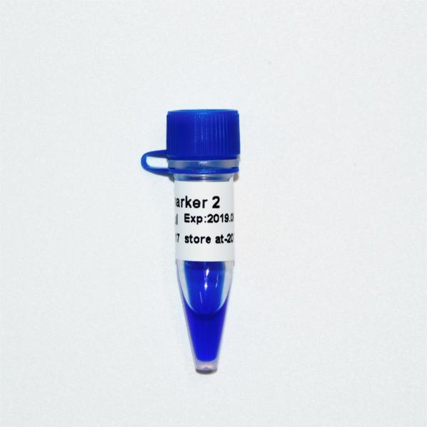 Escada M1091 do ADN do marcador 2 (50μg) /M1092 (50μg×5)