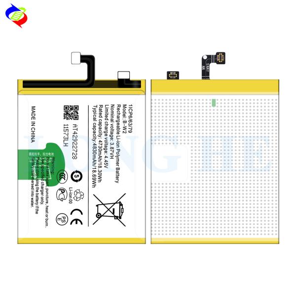 OEM B-W2 Техническая батарея с двойной защитой IC AAA для Vivo V25 PRO V2158 4830mAh