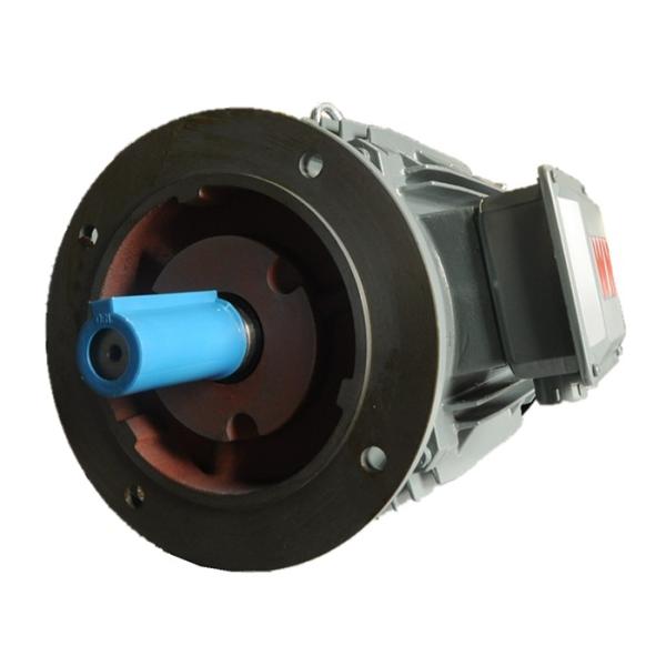 Электрический двигатель 3000R/Min высокой эффективности 300HP IE3 стальной