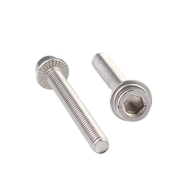 Hex Socket Head Flange Bolts Carbon Steel Stainless Steel M3 M4 M5 M6 M8 M10 with 1