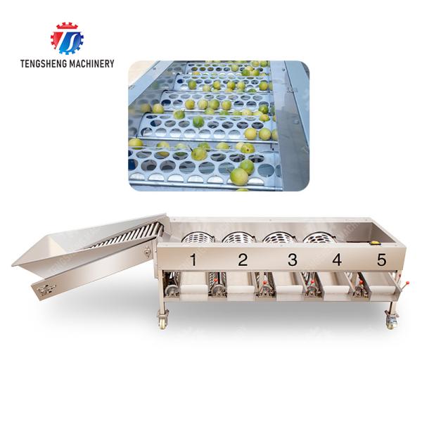 Fruit Orange Vegetable Saiko persimmon lemon tangerine passion fruit avocado cherry Mango pear mangosteen kiwi fruit processing production Inspecting Grading sorting machine