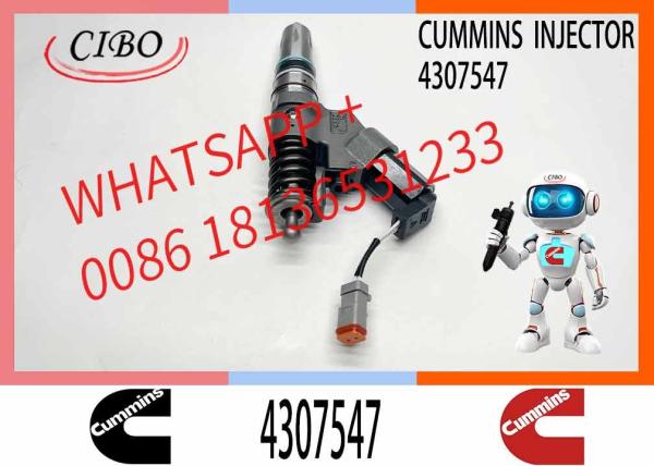 CUMMINS Fuel Systems QSM ISM Diesel Engine CUMMINS 4307547 Fuel Injector diesel Fuel Injector cummins M11 Engine Parts