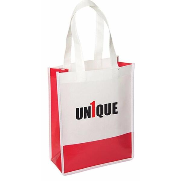 cotton canvas bag non woven bag Laminated non woven bag Cooler woven bag Canvas picnic backpack fabric storage box Nylon