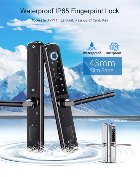 Senha durável e fechadura da porta biométrica da impressão digital com chave escondendo