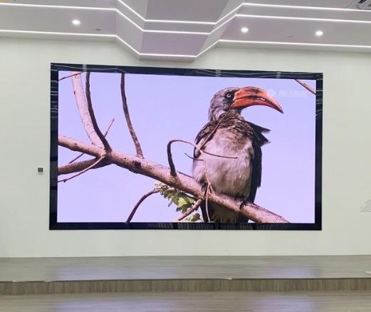 640*640mm 640*480mm Panneau d'affichage d'écran LED intérieur 1600cd/m2