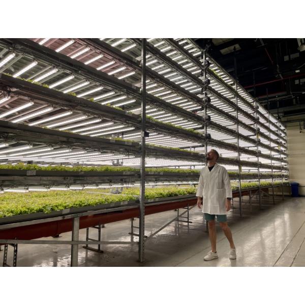 СИД 4x4ft крытое растет инфракрасн светлого регулируемого двойного полного спектра УЛЬТРАФИОЛЕТОВОЕ складное