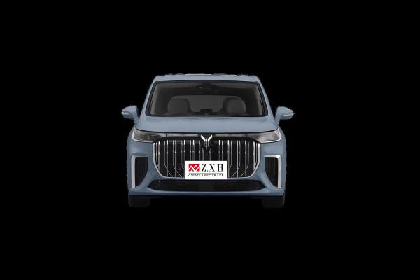 Electric Cars New Energy Vehicles VOYAH dreamer Family 5-door 7-seat MPV Electric Voiture Car Electric Automobile Made In China