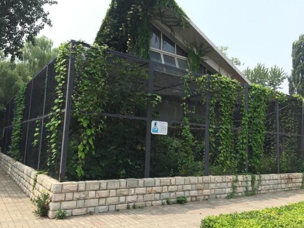 Welded Wire Mesh For Zoo Wire Mesh Fence
