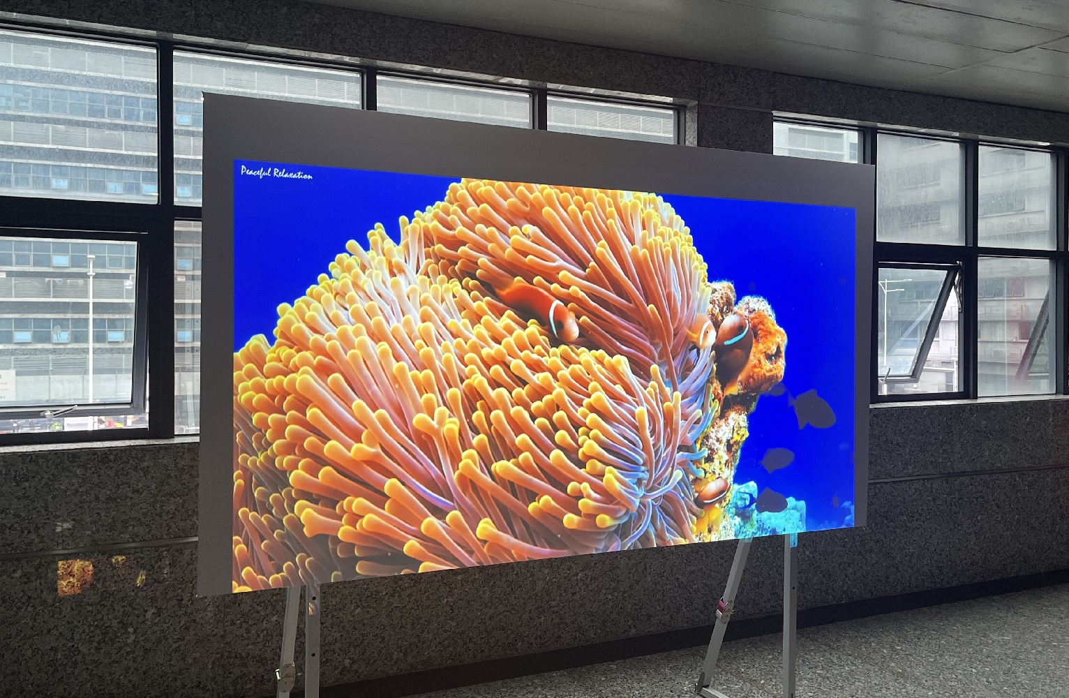 Репроектор лазера люменов WUXGA 3LCD домашнего кинотеатра 6500 с повышением 4K