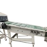 Inclined Bucket Elevator Conveyor Stainless Steel Bucket Conveyor System