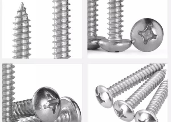 Top Quality Stainless Steel SS304 SS316 Phillips Pan Head Tapping Screw DIN7981