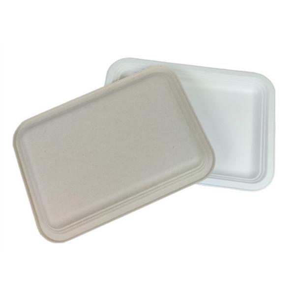 Rectangle Biodegradable Food Trays