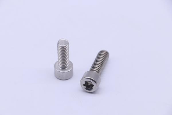 DIN912 Cylindrical Head Stainless Steel Screw SS316 1/4-20*3/4 For Torx Machine