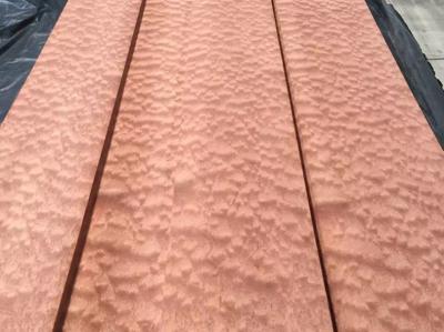 0.6mm Sliced Sapelli Sapele Pommele Natural Wood Veneer for Furniture Plywood Architectural Woodwork and Interior Decora