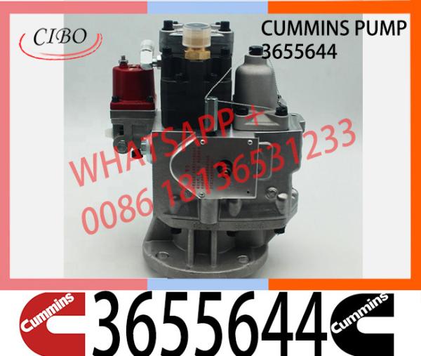 Cummins NTA855 Engine Parts Injection Fuel Pump 3655644