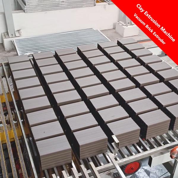 Wear-resistant Materials Low-maintenance Design Brick Extruder Machine with CE Certification and chromium Alloy Steel