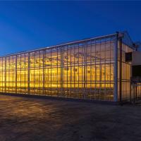 Estufa de vidro de Venlo do túnel alto do quadro frio com sistema crescente hidropônico