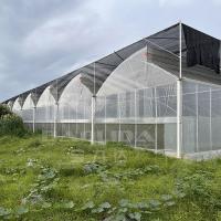 Tubo de aço galvanizado a quente Casa de estufa Casa de estufa de plástico de serradura multi-span