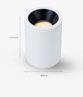 Le plafond imperméable IP65 a monté vers le bas des lumières Downlight monté par surface de cylindre