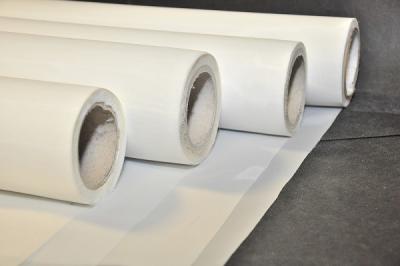 Malha de nylon da tela JPP12T-250, rolo de nylon da tela de malha com tratamento Calendaring