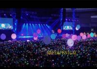 1m 3.3ft LED ビーチボール RGB グローボール DJパーティーやコンサートに最適